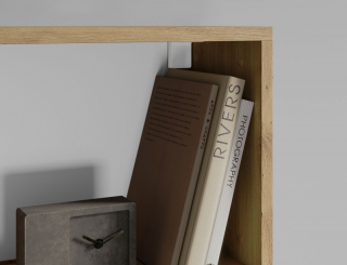 mania-elt-sh-eve-oa-reg80_4