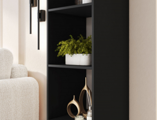 mania-elt-sh-fig-b-reg40_5