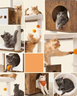 mania-sgm-pct116x01_5