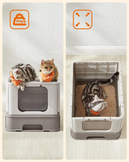 mania-sgm-ppt001g01_5