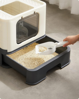 mania-sgm-ppt001w01_4