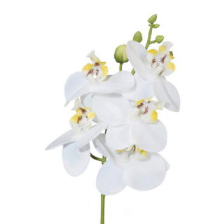 Umelá Rastlina Phalaenopsis, V:27cm,biela obr-1